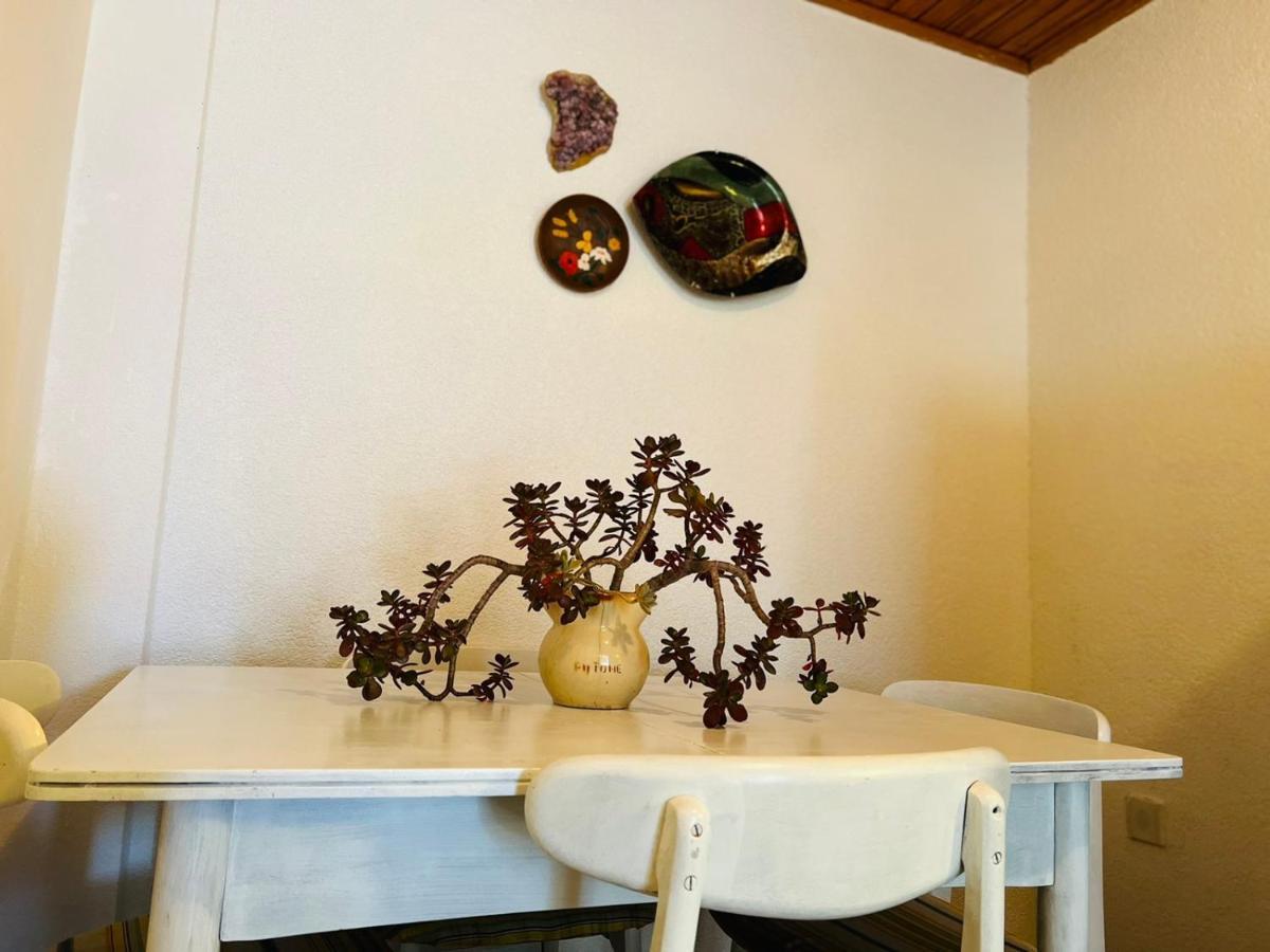 Sea Breeze Apartments With Private Beach And Boat Anchorage Stara Novalja Esterno foto